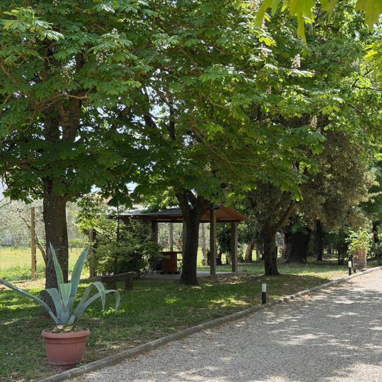 Cornici di verde - Cortona - Two-Bedroom House - 42