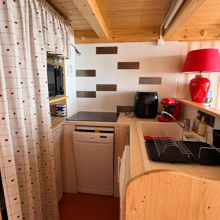 Duplex cosy au pied des pistes 4 couchages vue montagne - Appartement 1 Chambre - 10