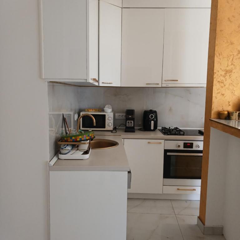 Milica lux - Apartman sa 1 Spavaćom Sobom - 2