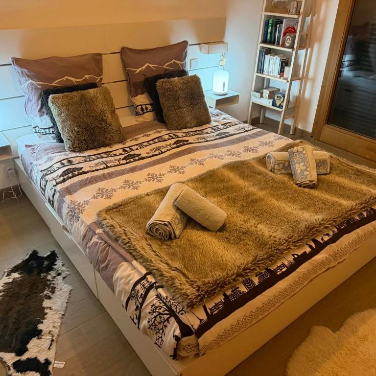 Perle de Savoie Free multipass offer for 4 guests - Apartment mit 1 Schlafzimmer - 7
