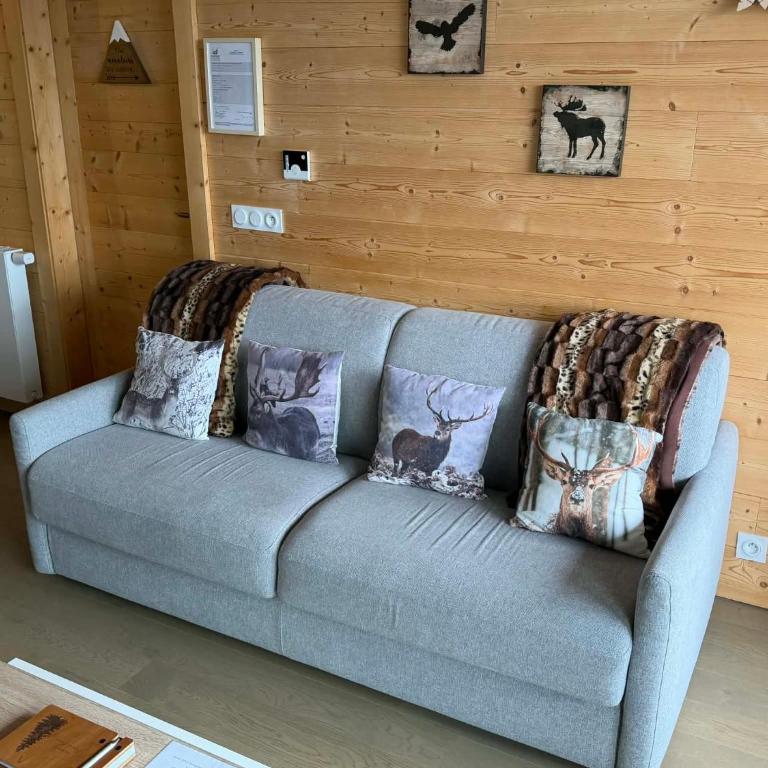 Perle de Savoie Free multipass offer for 4 guests - Apartment mit 1 Schlafzimmer - 8