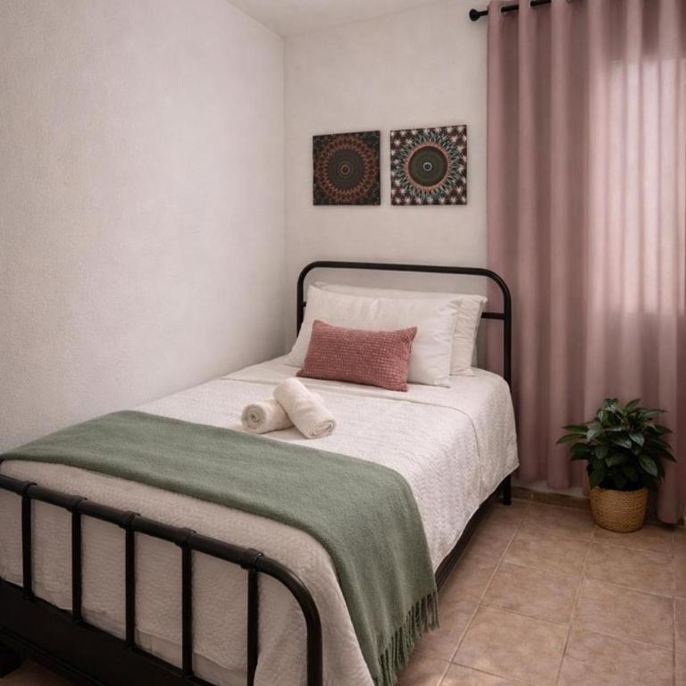 Morada Luna Coyoacán - Single Room - 5