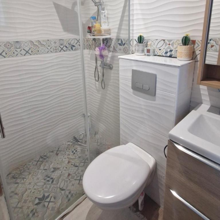 Maison Nice bellet - Villa - 9