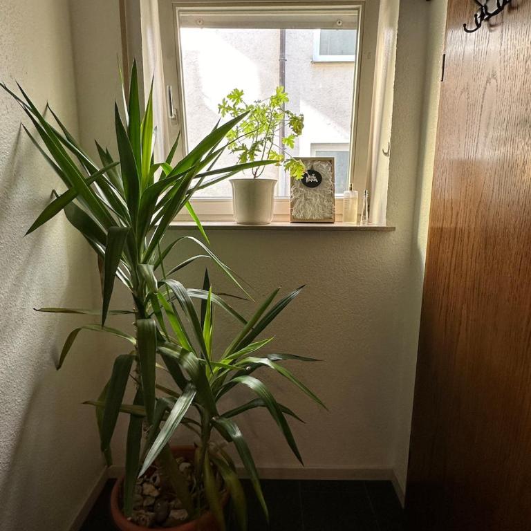 2-room domicile in Würzburg's trendy district - Apartment mit 1 Schlafzimmer - 43