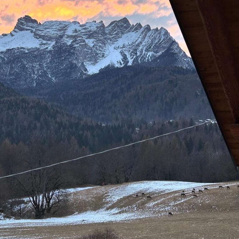 Casa Vallazza - Val di Zoldo - Dolomites - Appartamento con 2 Camere da Letto - 24