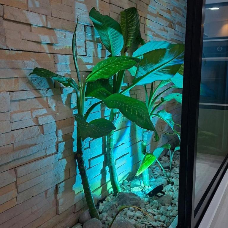 Apartamento nuevo en Zona Centro en Santa Rosa de Cabal - Apartamento de 3 dormitorios - 12