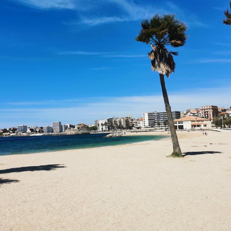 Mayol Apartment Heart of Toulon and Harbor View - Appartement - 39