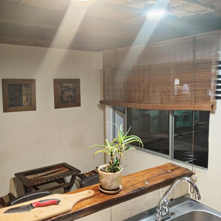 Mini Casa en La Alameda - Two-Bedroom Apartment - 4