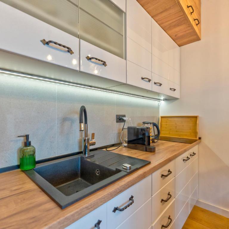 Apartman Majski Bor Zlatibor - Apartment mit 1 Schlafzimmer - 47