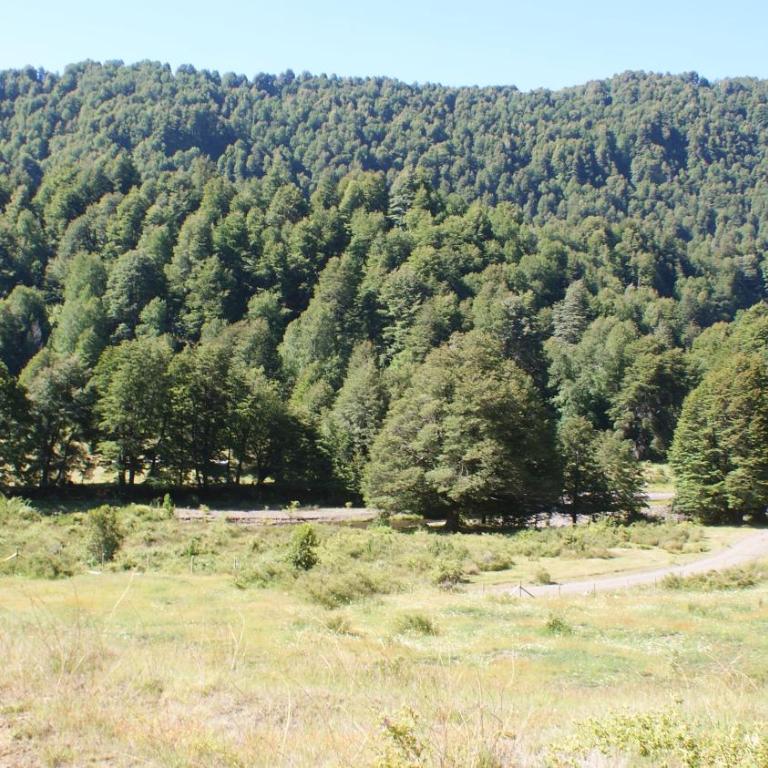 Das Glashaus - Casa de 3 dormitorios - 15