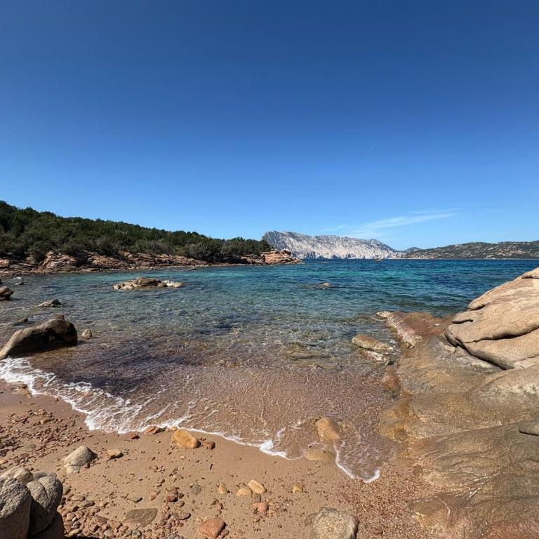 Villino Coda Cavallo Cala Paradiso - Appartamento con 3 Camere da Letto - 2