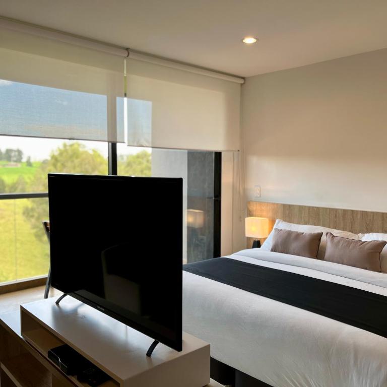 Rioverde Living suites- Apartahotel - Apartamento de 1 dormitorio - 24