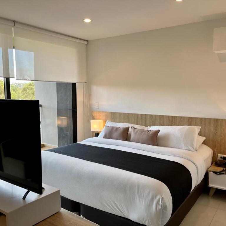Rioverde Living suites- Apartahotel - Apartamento de 1 dormitorio - 19