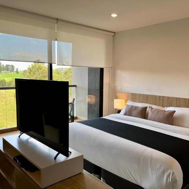 Rioverde Living suites- Apartahotel - Apartamento de 1 dormitorio - 18