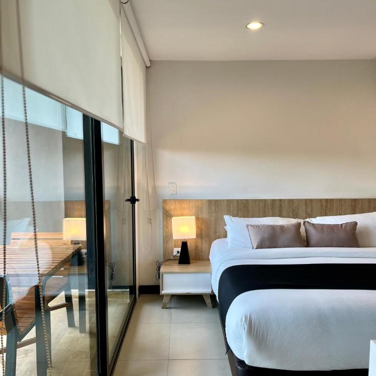 Rioverde Living suites- Apartahotel - Apartamento de 1 dormitorio - 6