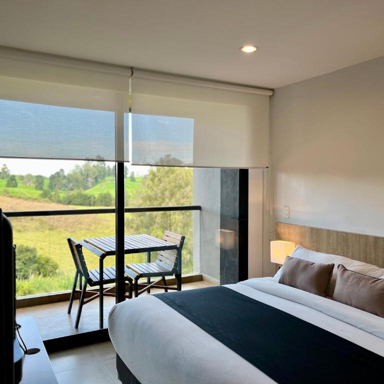 Rioverde Living suites- Apartahotel - Apartamento de 1 dormitorio - 4