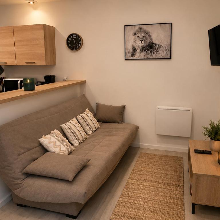 Escale sereine à Lourdes, appartement calme entre gare et sanctuaire à pied - Appartement 1 Chambre - 9