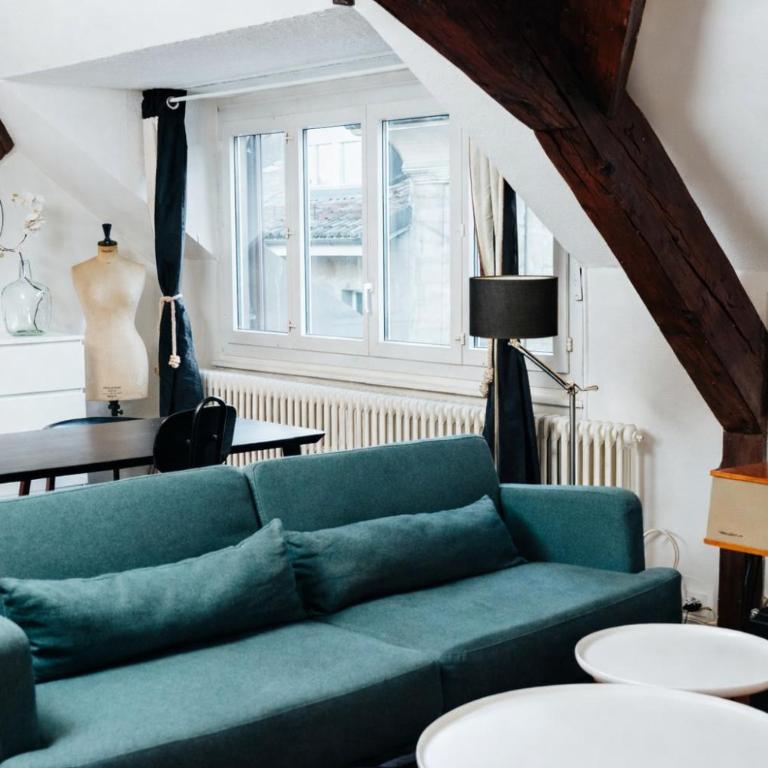 Beautiful apartment in Old Town Geneva - Appartement 1 Chambre - 17