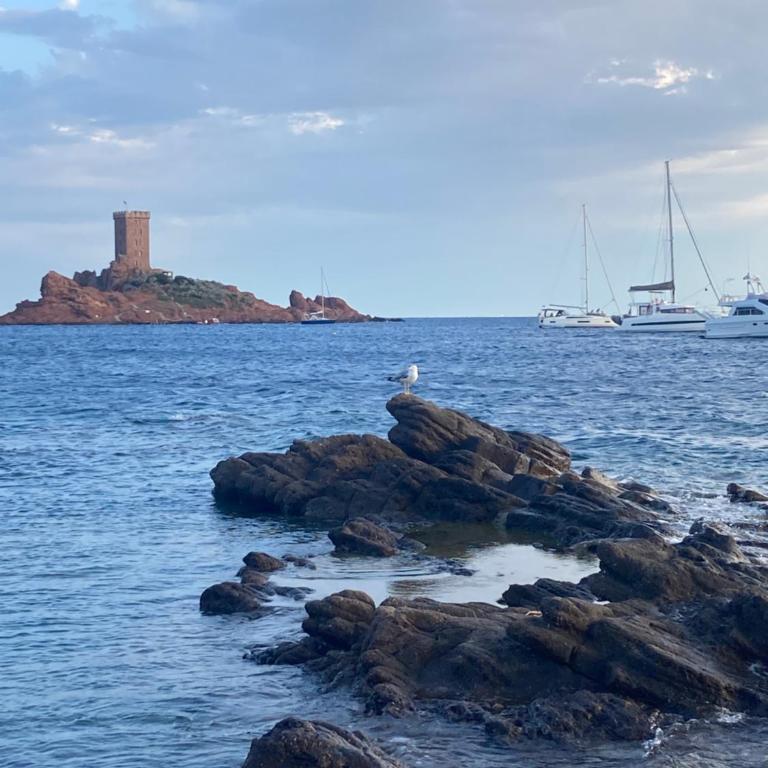 Le Cocon du Hameau rdj cloturé Cap Esterel - Apartamento de 1 dormitorio - 43