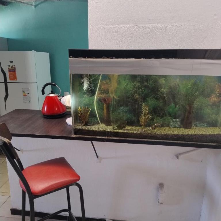Alojamiento El Centenario - Apartamento de 2 dormitorios - 7