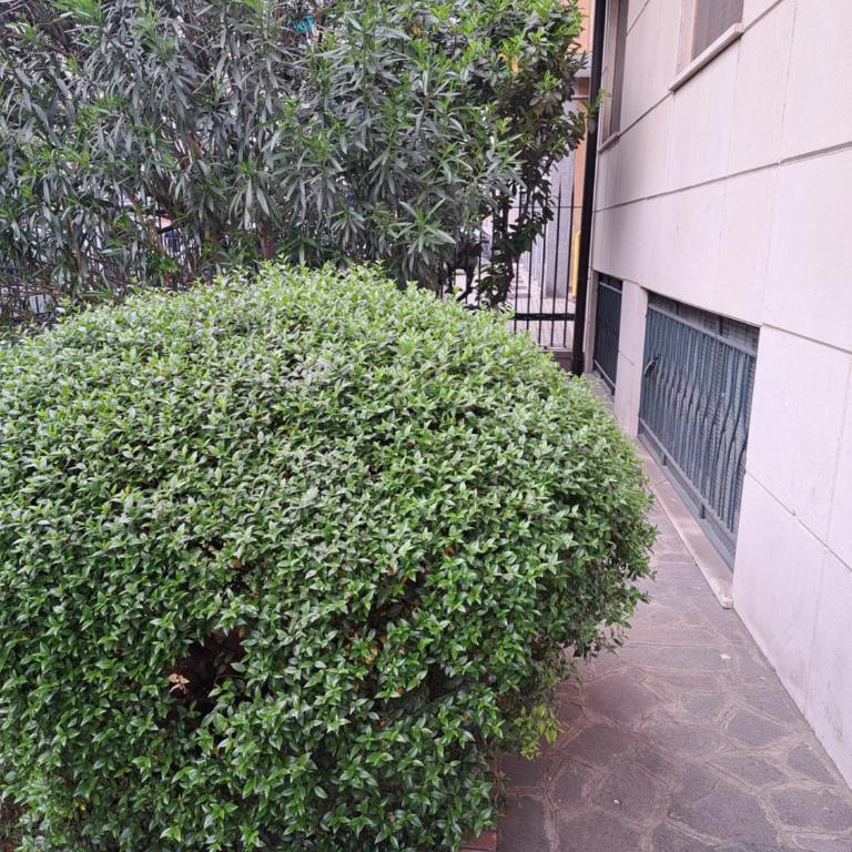 blu frattini - One-Bedroom Apartment - 23