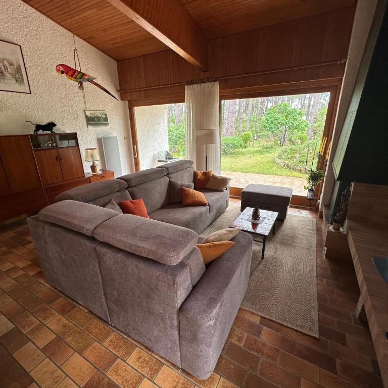 Maison Familiale au Milieu des Pins à Biscarrosse - 6 Pers, 300m du Lac, Ménage Inclus - FR-1-319-573 - Maison de Vacances - 25