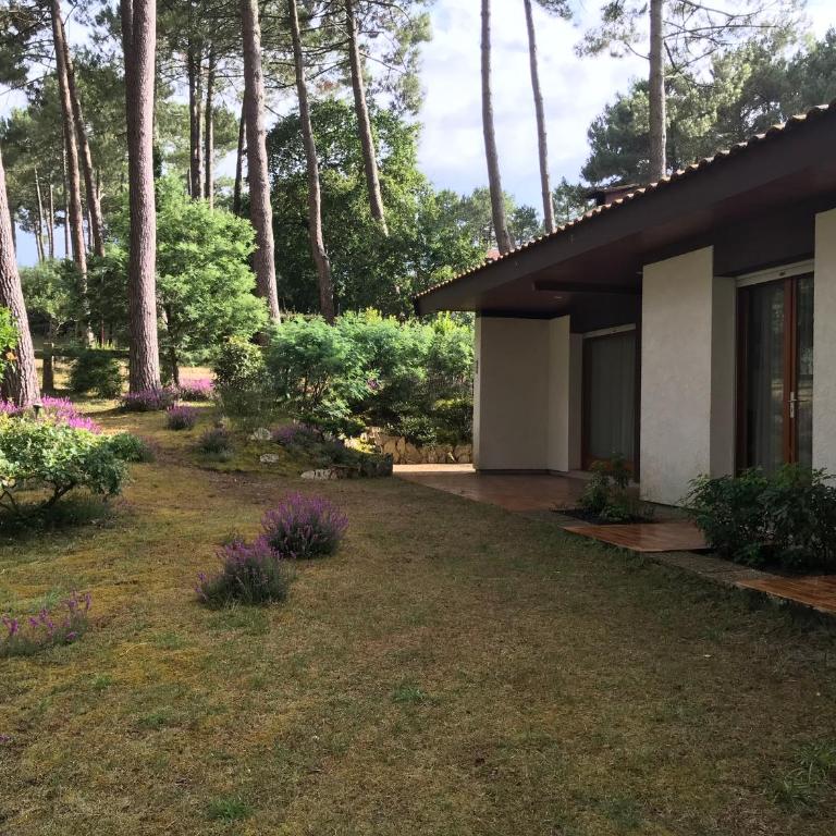 Maison Familiale au Milieu des Pins à Biscarrosse - 6 Pers, 300m du Lac, Ménage Inclus - FR-1-319-573 - Maison de Vacances - 27