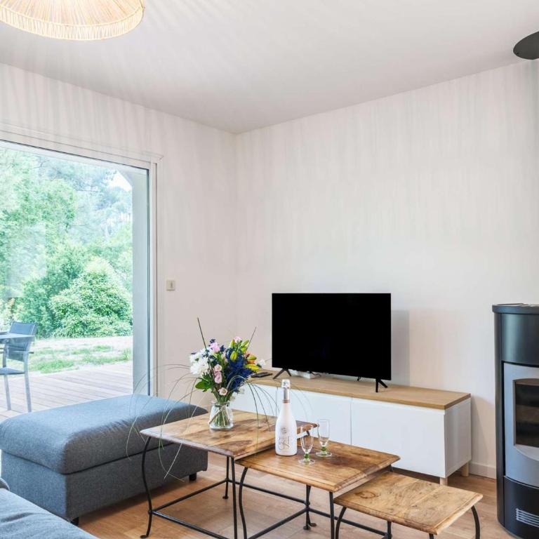 Villa familiale - 8 pers., Biscarrosse - FR-1-877-20 - Villa - 8