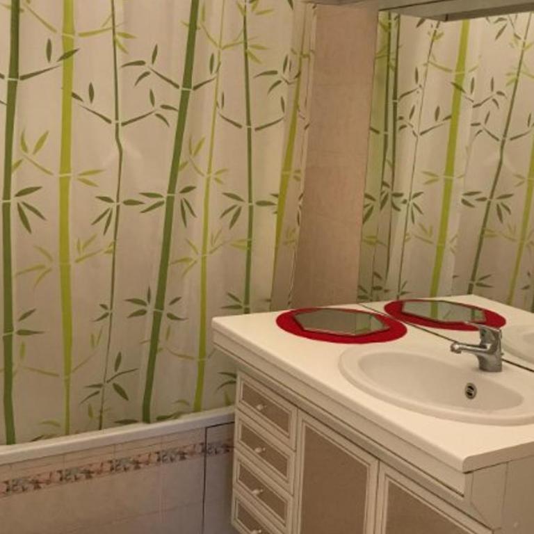 Appartement charmant au centre-ville de Biscarrosse - FR-1-877-14 - Apartment - 9