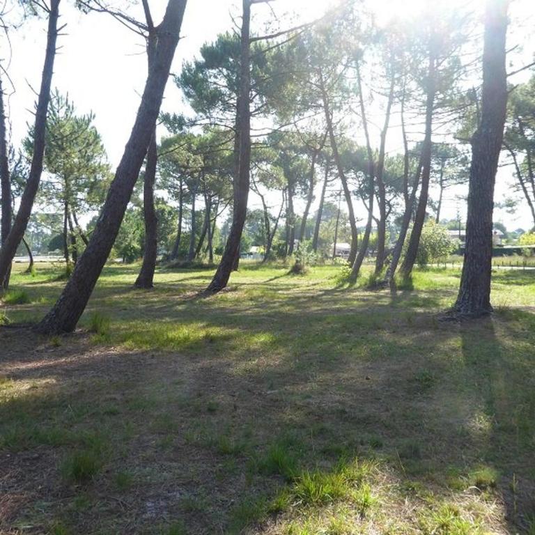 Appartement charmant au centre-ville de Biscarrosse - FR-1-877-14 - Apartment - 13