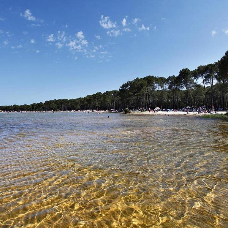 Appartement cosy au cœur de Biscarrosse - 4 pers. - FR-1-877-34 - Apartment - 22