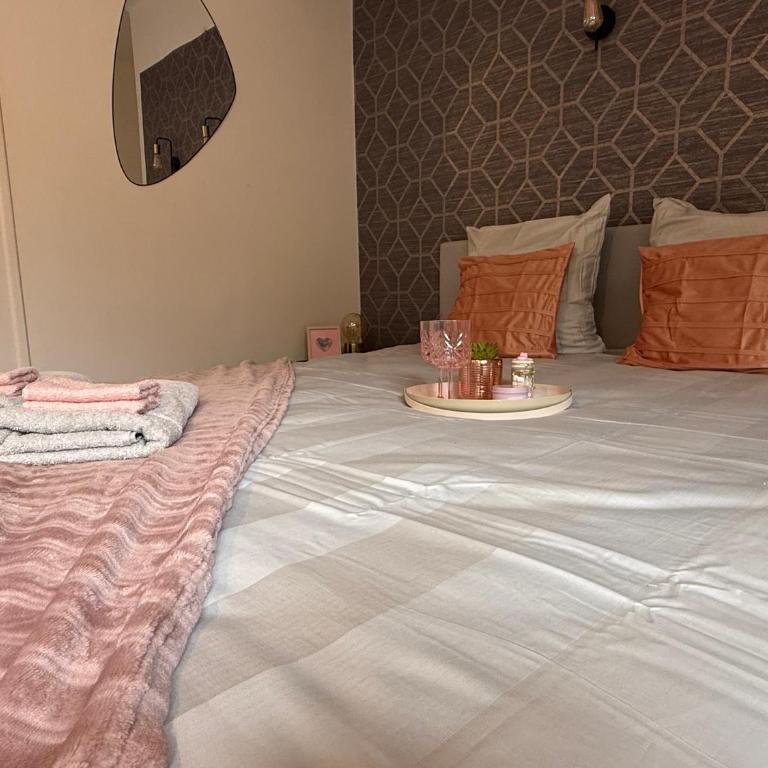 Cocon rénové près du tram - Appartement 1 Chambre - 20
