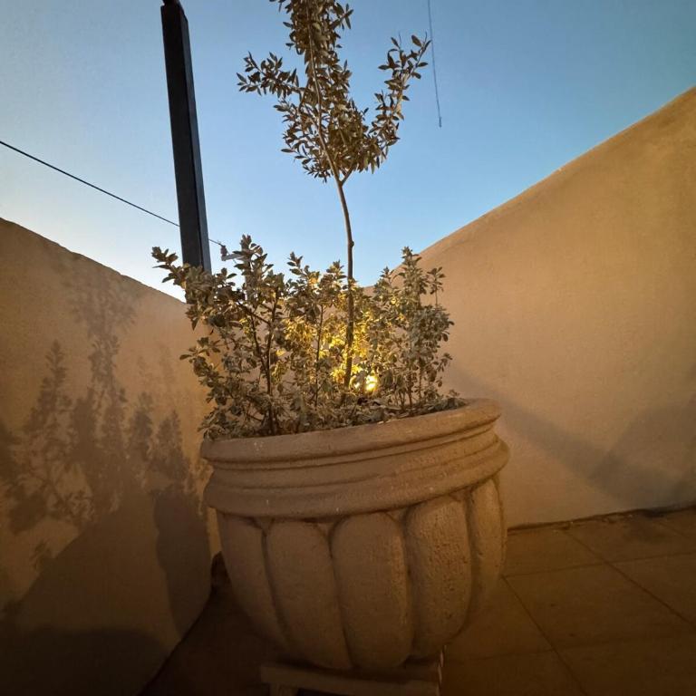 Moderno y amplio alojamiento Vacacional Casa LIMÓN - Casa de 5 dormitorios - 20