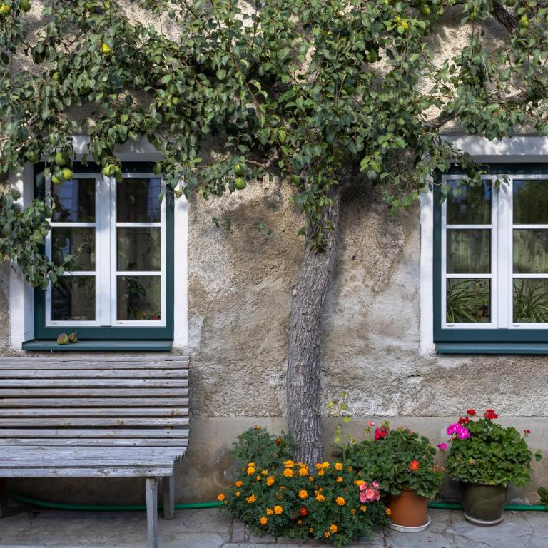 Aldrans Apartment with 3 bedrooms - Apartment mit 3 Schlafzimmern - 12