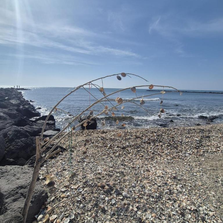 Entre plage et port, au bout du Quai - Appartamento con 1 Camera da Letto - 15