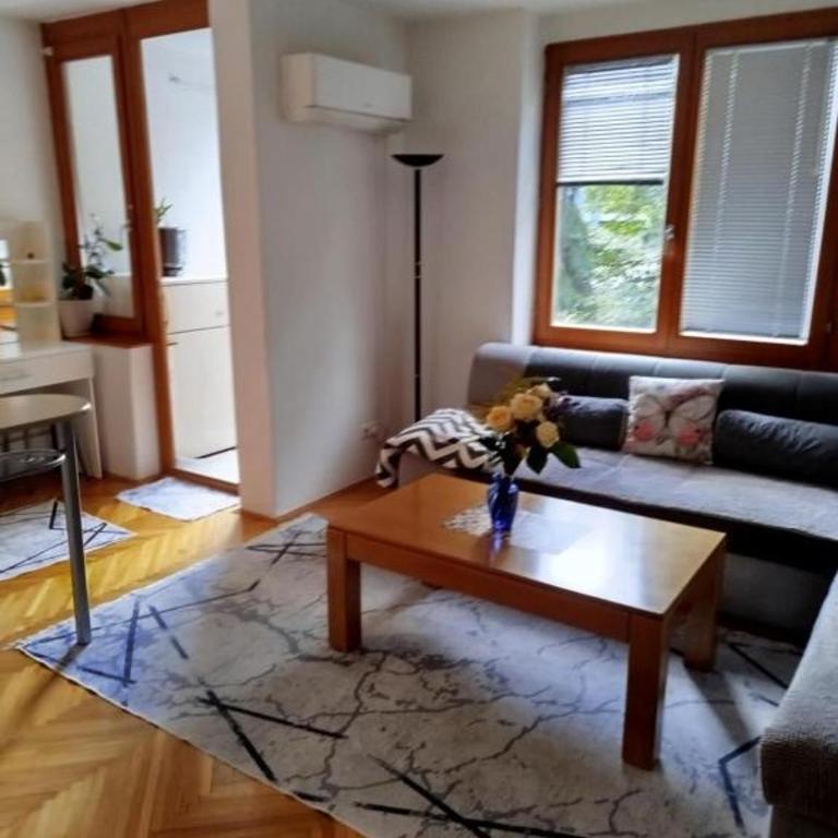 City Oasis Sarajevo - Apartman sa 1 Spavaćom Sobom - 3