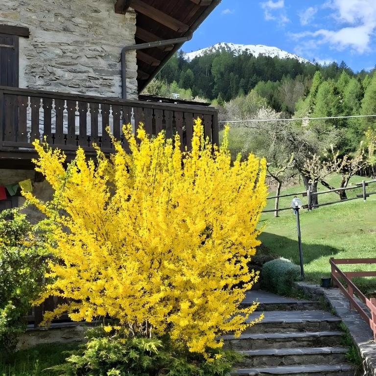 La Tana con l'Ermellino - Haus mit 1 Schlafzimmer - 30