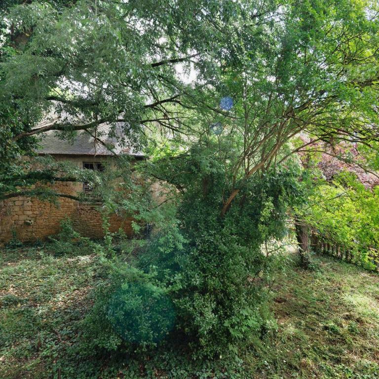 Sénéchal - Charme - Centre Sarlat - - Apartment mit Dusche - 20