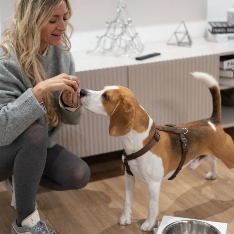 Gli amori di Carolina- Pet Friendly Apartment - Palazzo Carolina - One-Bedroom Apartment - 8