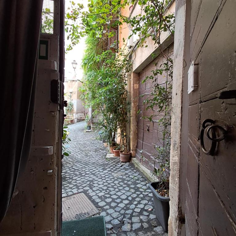 Apartments Campo de Fiori - One-Bedroom House - 2