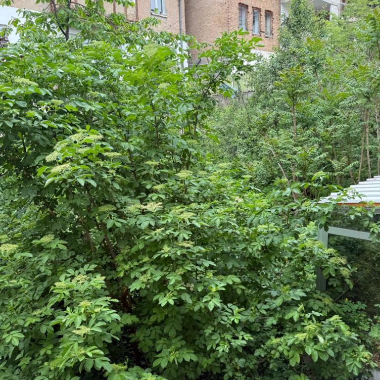 Urban Getaway Sarajevo with Free Parking - One-Bedroom Apartment - 10