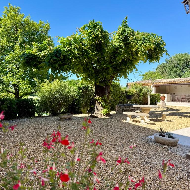 Liorelys in Provence Charming House with Pool - Casa con 3 Camere da Letto - 4