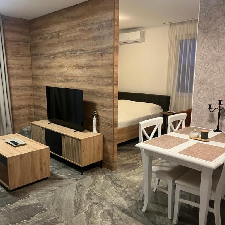 Apartmani Vukotic - Apartman sa 1 Spavaćom Sobom - 3
