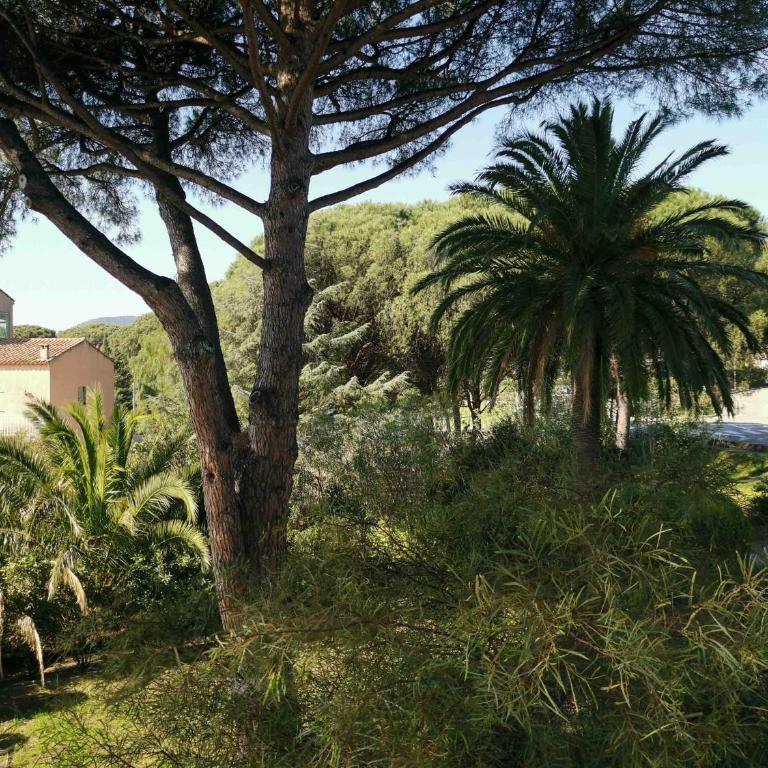 Grand studio LA VAGUE - Apartment mit Gartenblick - 18