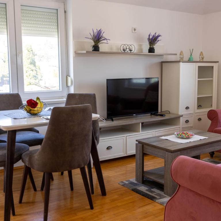Banja Koviljača Apartmani Matić - Apartman sa 1 Spavaćom Sobom - 7