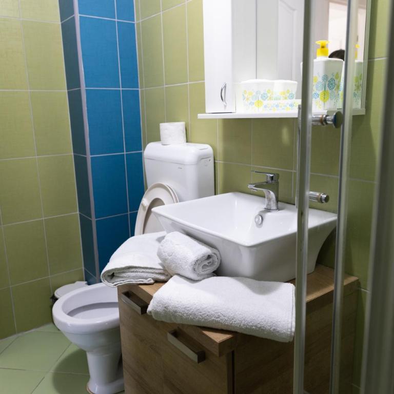 Banja Koviljača Apartmani Matić - Apartman sa 1 Spavaćom Sobom - 12
