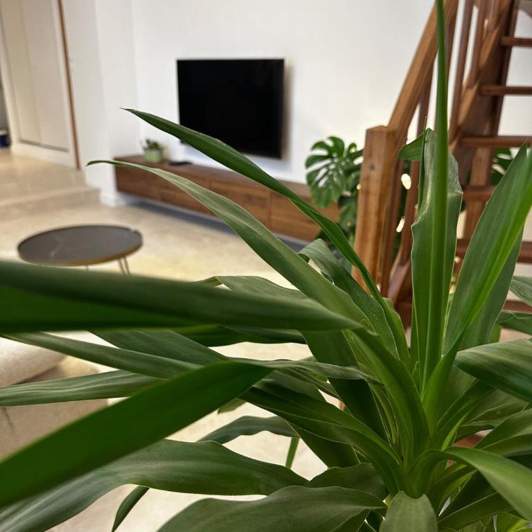Hyper centre ville de Reims avec parking - Apartamento de 1 dormitorio - 3