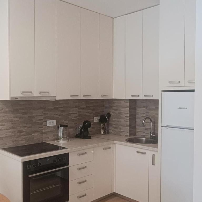 Plumeria LOFT - One-Bedroom Apartment - 3