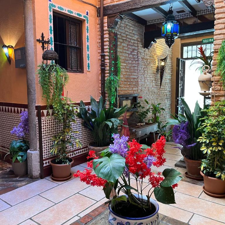 Suite Generalife - One-Bedroom Apartment - 27