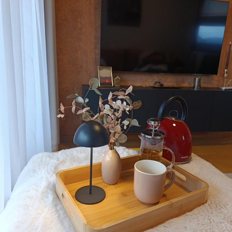 Apartman Mina - Apartman sa 1 Spavaćom Sobom - 15